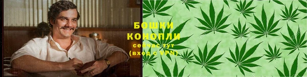 хмурый Козловка